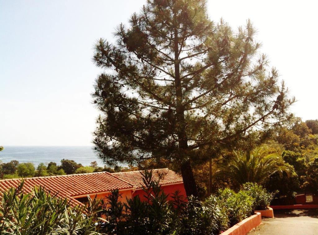 Hotel Residence San Pieru Tarcu Екстериор снимка