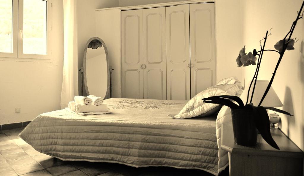 Hotel Residence San Pieru Tarcu Екстериор снимка