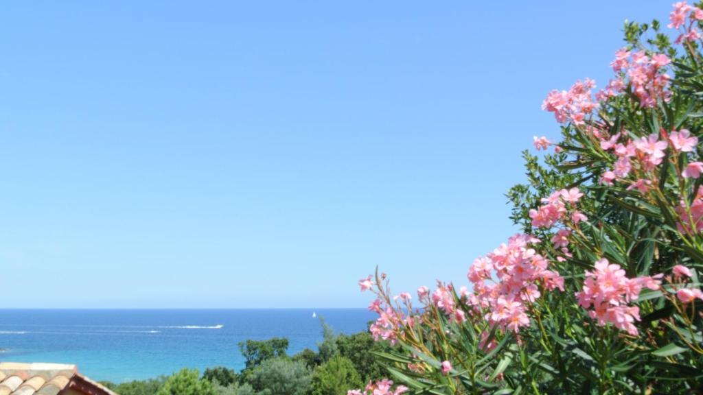 Hotel Residence San Pieru Tarcu Стая снимка